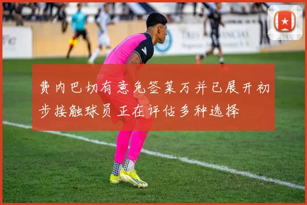 费内巴切有意免签莱万并已展开初步接触球员正在评估多种选择