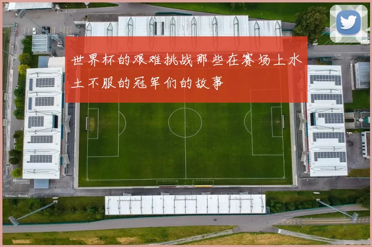 世界杯的艰难挑战那些在赛场上水土不服的冠军们的故事