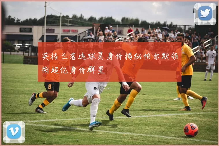 英格兰落选球员身价揭秘帕尔默领衔超亿身价群星