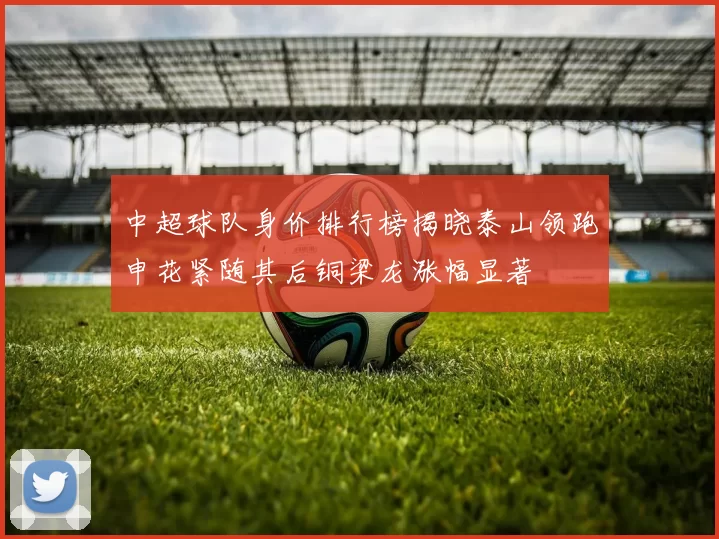 中超球队身价排行榜揭晓泰山领跑申花紧随其后铜梁龙涨幅显著